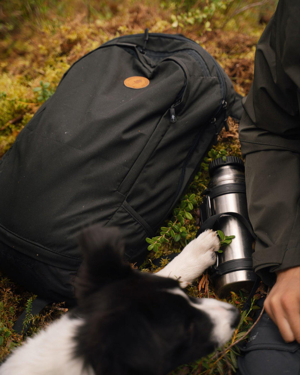 Daypack 22l Ryggsäck